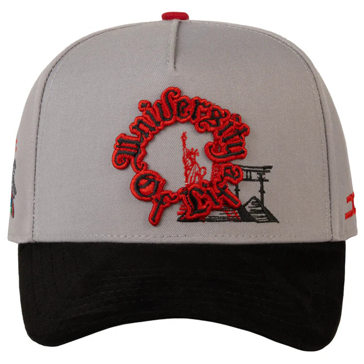 UNIVERSITY OF LIFE CURVE GRAY