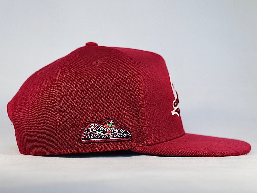 Welcome To Culiacán®