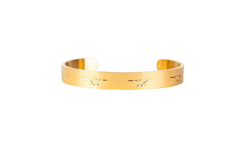 AVIONETA GOLD