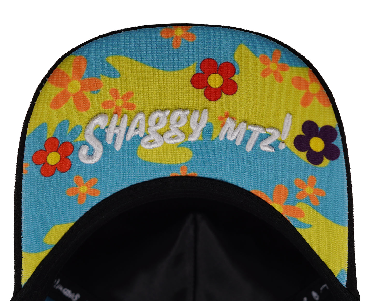 SHAGGY ES PARTE DEL SHOW