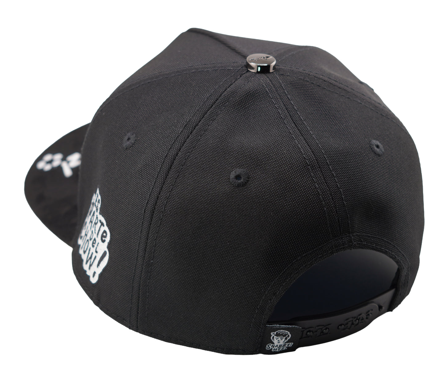 SHAGGY MYSTERI MACHINE