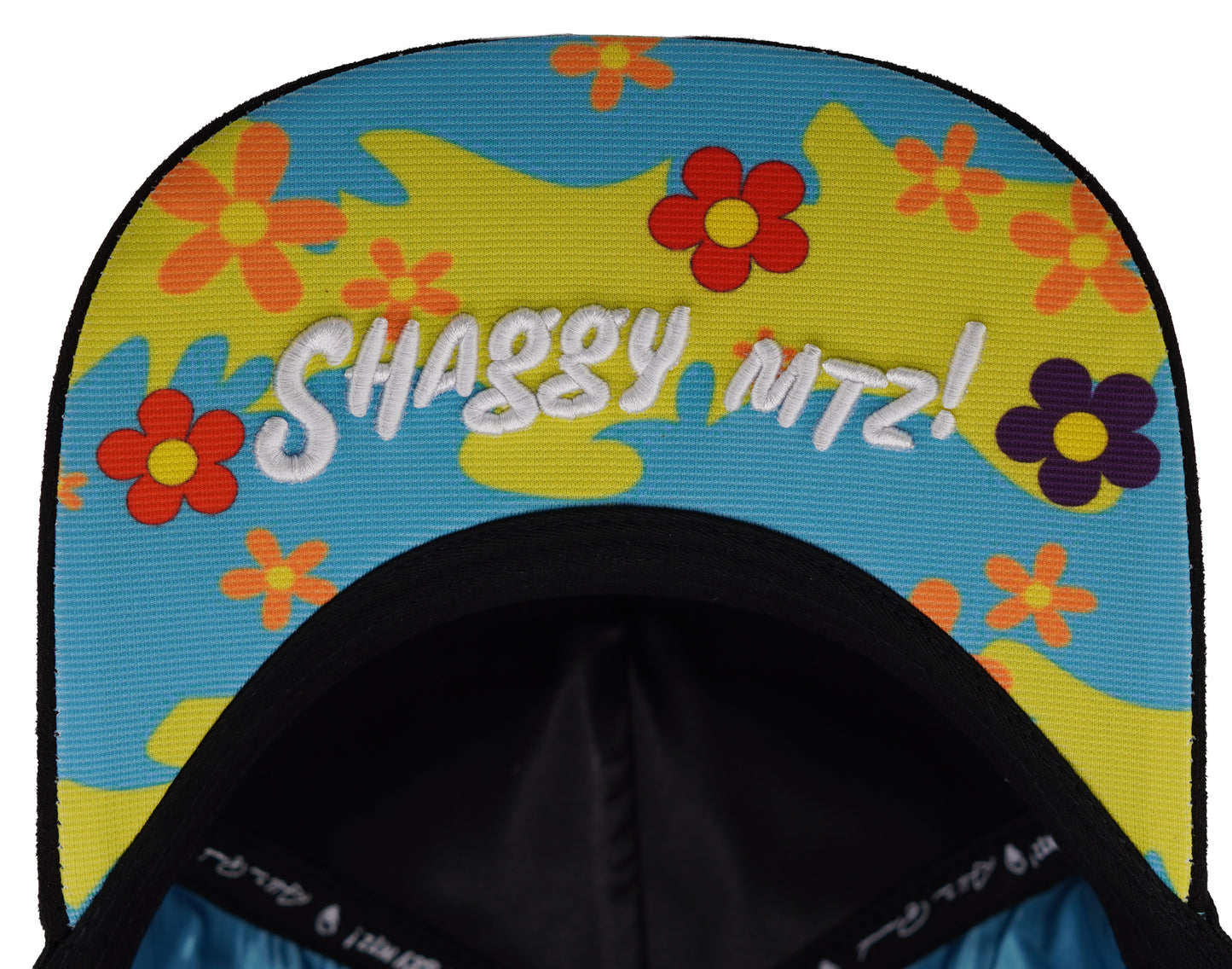SHAGGY MYSTERI MACHINE