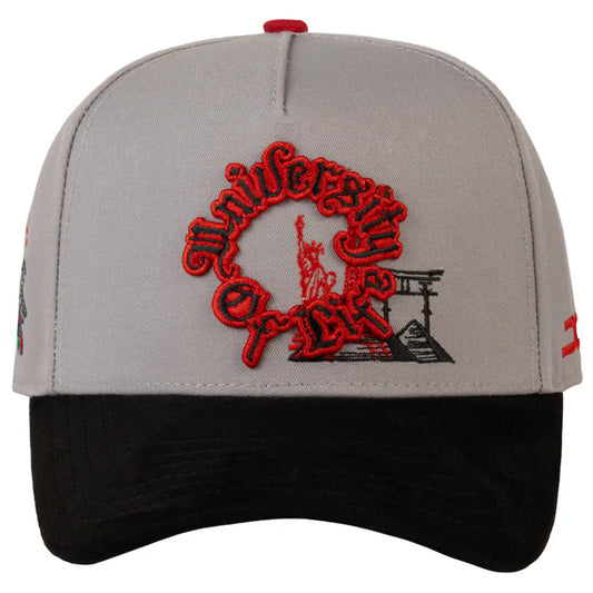 UNIVERSITY OF LIFE CURVE GRAY