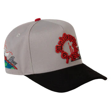UNIVERSITY OF LIFE CURVE GRAY